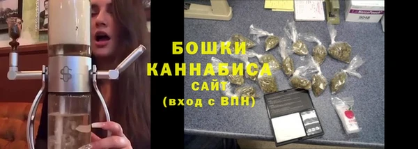 прущие грибы Майский