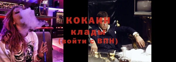 трава Магас