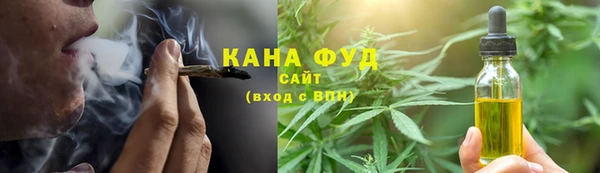 стаф Верея