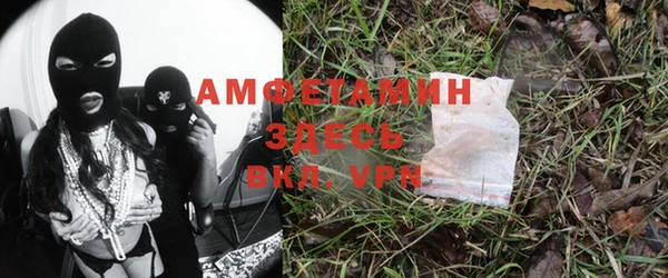 трава Магас