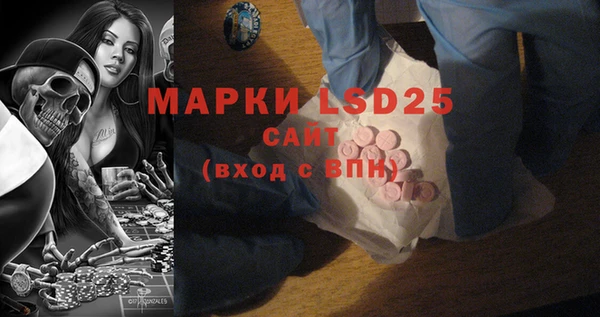 прущие грибы Майский