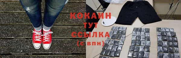 трава Магас