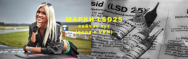 прущие грибы Майский