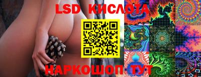 крисы Канаш