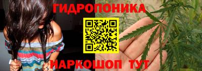 винт Кандалакша