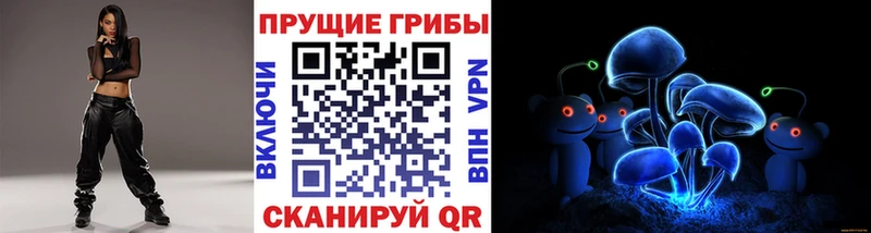 Галлюциногенные грибы Psilocybe  где продают   Малоярославец 