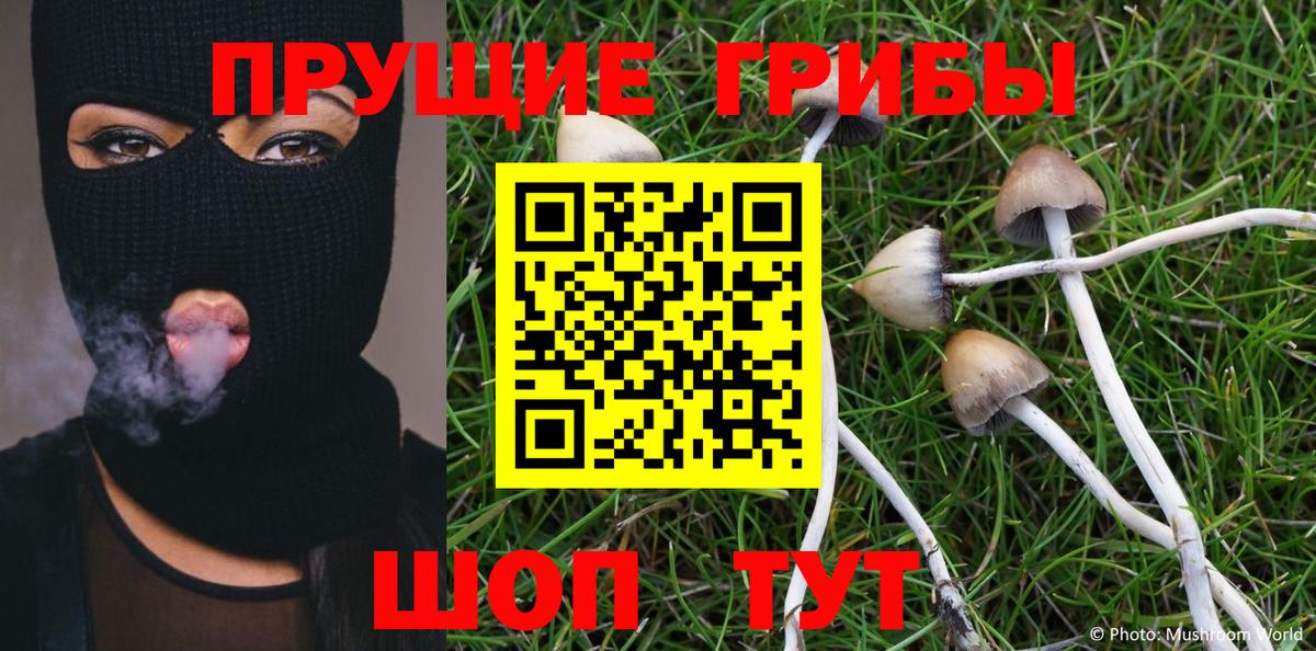 Галлюциногенные грибы Psilocybine cubensis Малоярославец