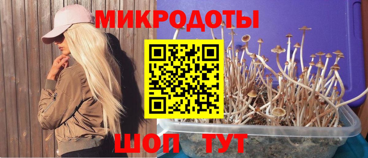 Галлюциногенные грибы MAGIC MUSHROOMS  Вход с VPN  Малоярославец 